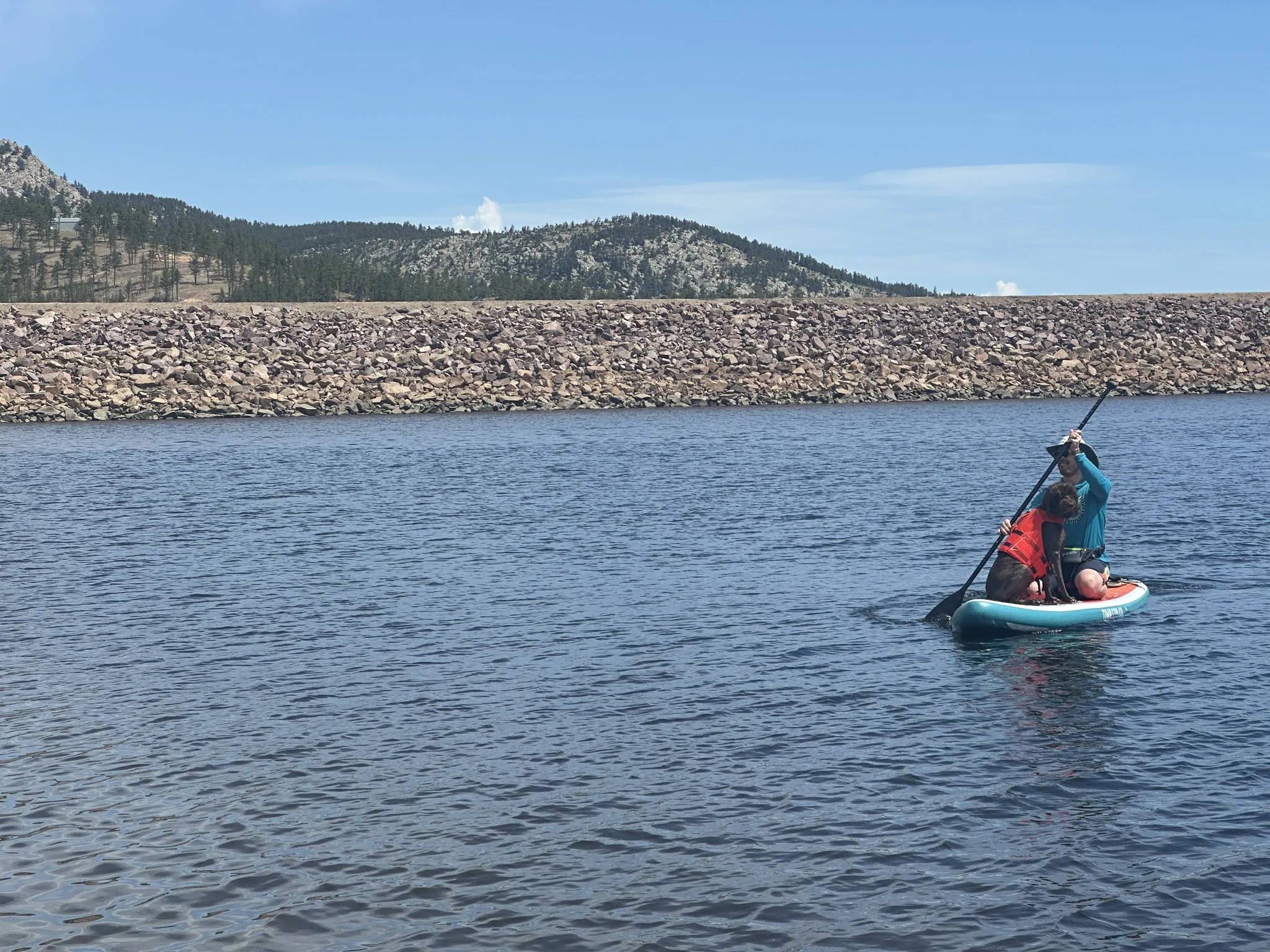 Jason and Crockett on the paddleboard at Pinewood Reservoir