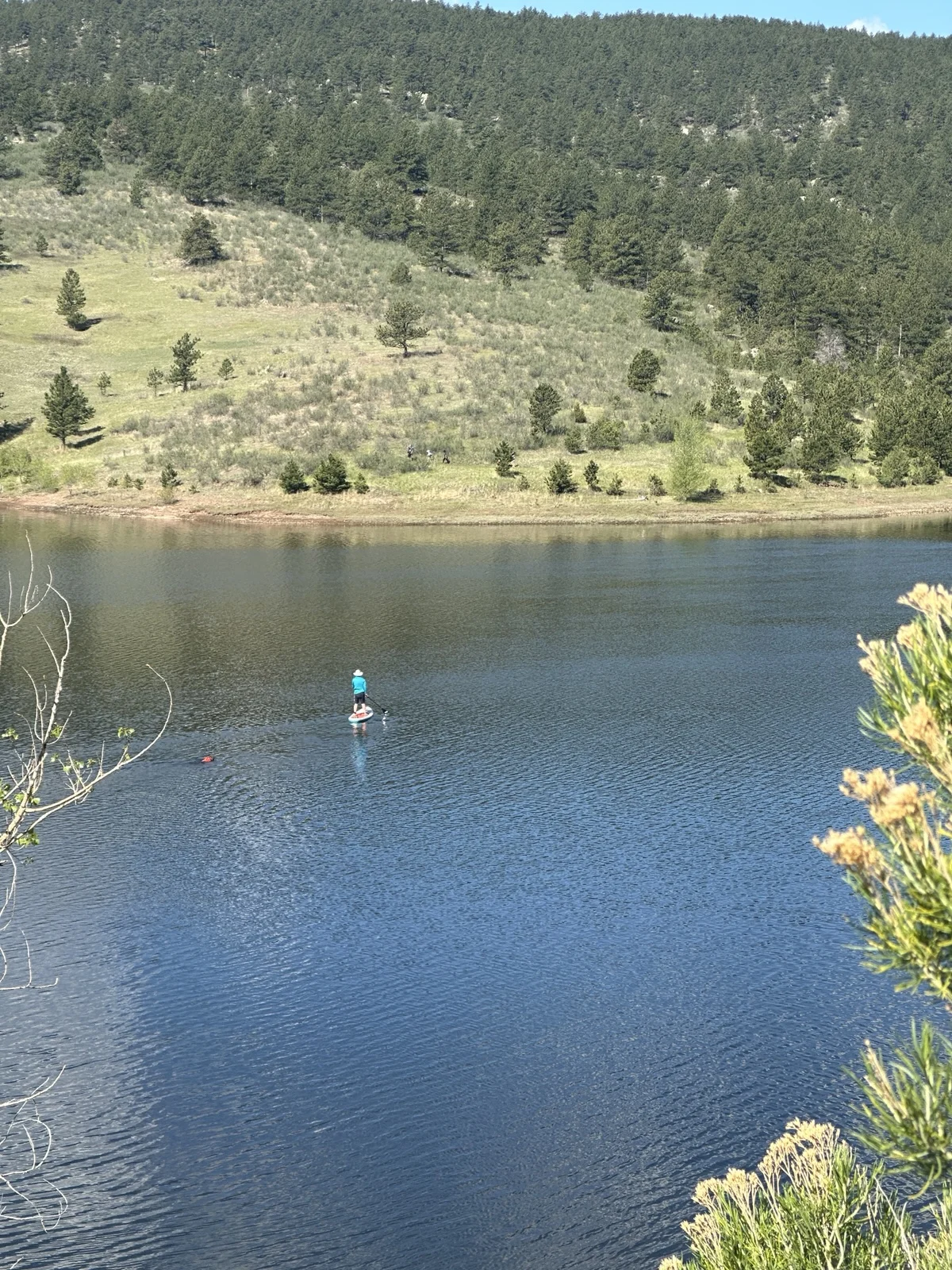 Pinewood Reservoir from above